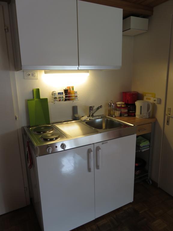 Studio-Ferienwohnung Hans Faessler อัพเพนเซลล์ ภายนอก รูปภาพ